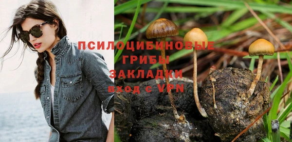 apvp Алексеевка