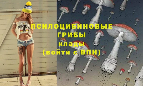 ALPHA PVP Алзамай