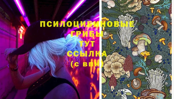 дмт Алексин