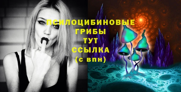 apvp Алексеевка