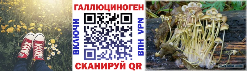 Галлюциногенные грибы MAGIC MUSHROOMS  Кыштым 